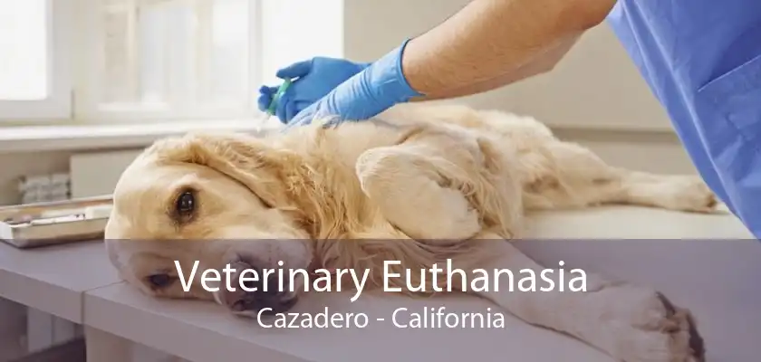 Veterinary Euthanasia Cazadero - California