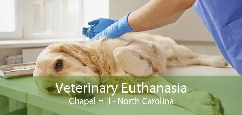 Veterinary Euthanasia Chapel Hill - North Carolina