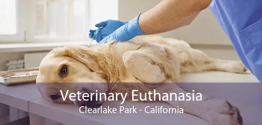 Veterinary Euthanasia Clearlake Park - California