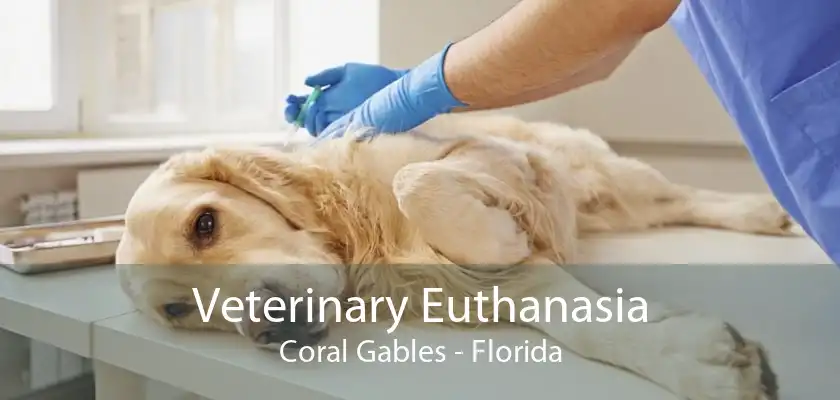 Veterinary Euthanasia Coral Gables - Florida