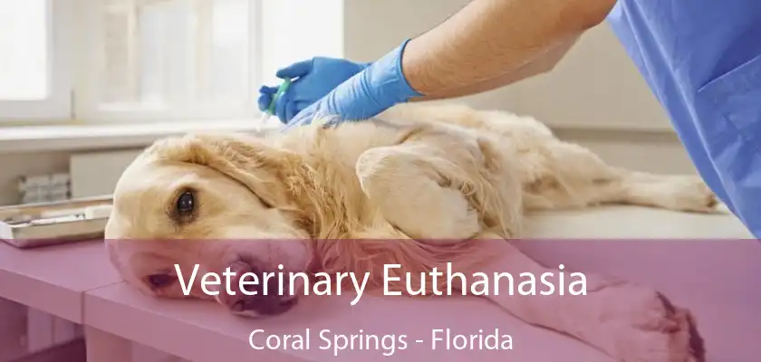 Veterinary Euthanasia Coral Springs - Florida