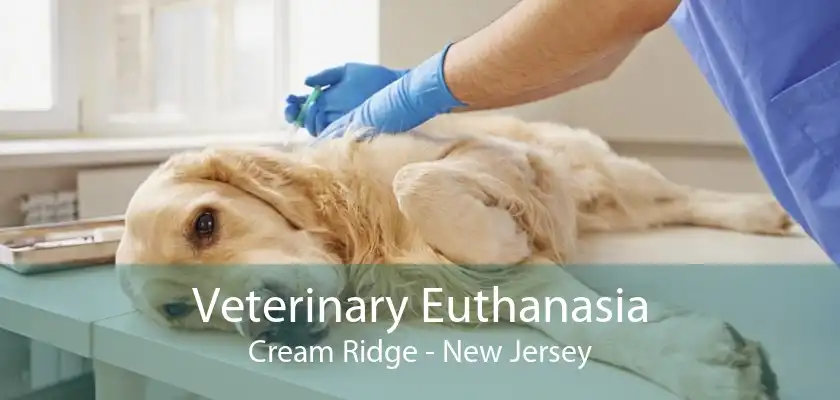 Veterinary Euthanasia Cream Ridge - New Jersey