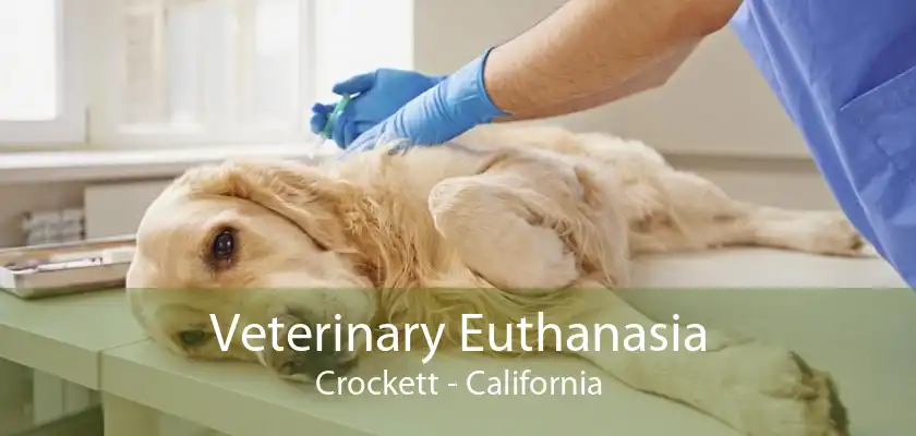 Veterinary Euthanasia Crockett - California