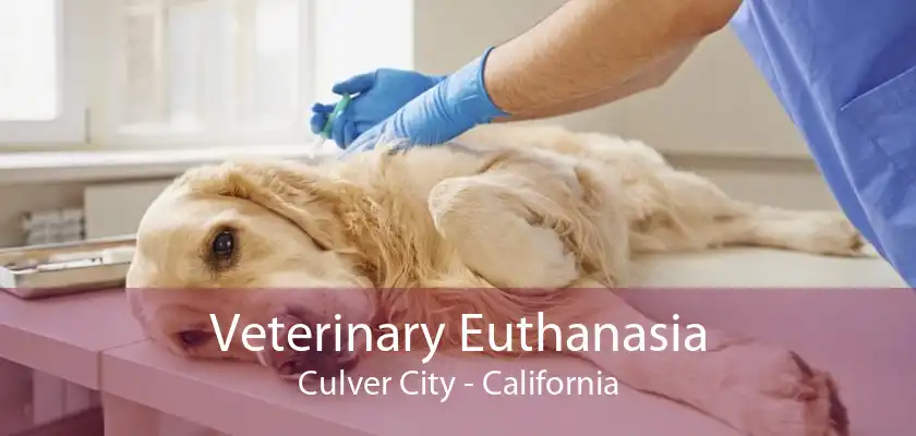 Veterinary Euthanasia Culver City - California