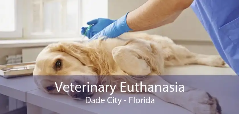 Veterinary Euthanasia Dade City - Florida