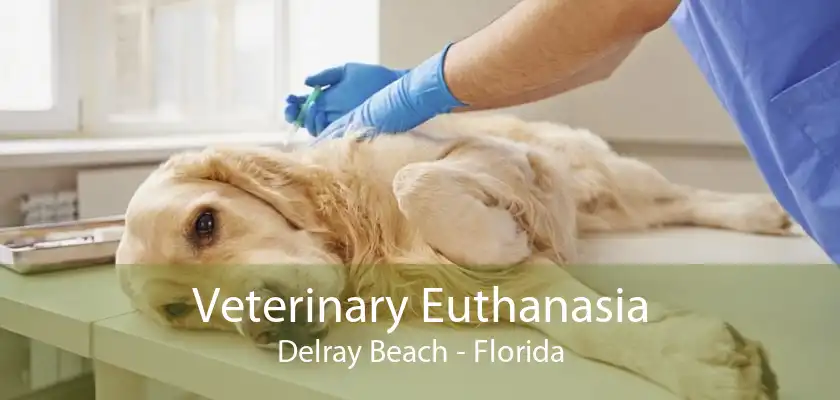 Veterinary Euthanasia Delray Beach - Florida