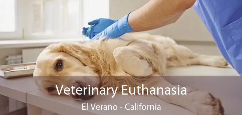 Veterinary Euthanasia El Verano - California