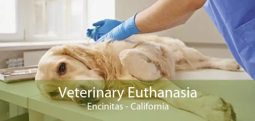 Veterinary Euthanasia Encinitas - California