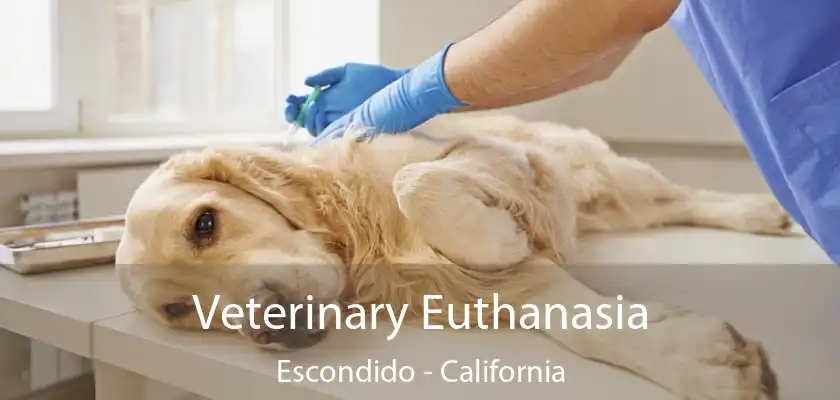 Veterinary Euthanasia Escondido - California
