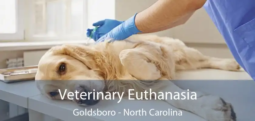 Veterinary Euthanasia Goldsboro - North Carolina