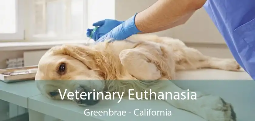 Veterinary Euthanasia Greenbrae - California