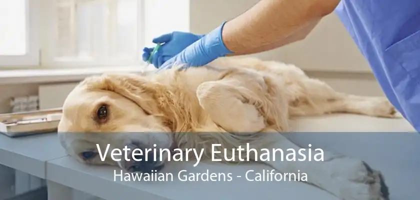 Veterinary Euthanasia Hawaiian Gardens - California