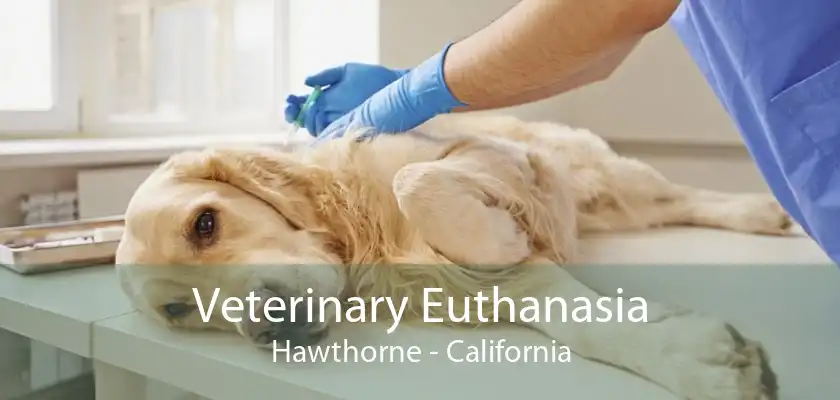 Veterinary Euthanasia Hawthorne - California