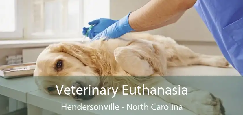 Veterinary Euthanasia Hendersonville - North Carolina