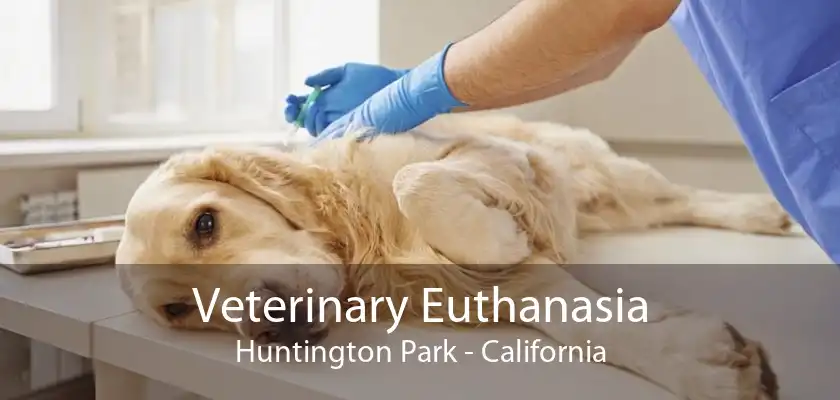 Veterinary Euthanasia Huntington Park - California