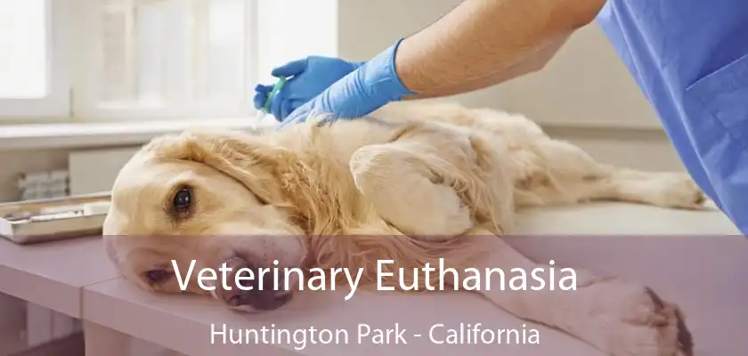 Veterinary Euthanasia Huntington Park - California