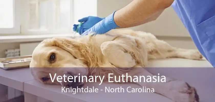 Veterinary Euthanasia Knightdale - North Carolina