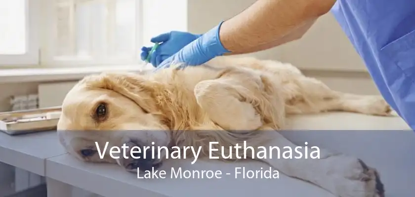 Veterinary Euthanasia Lake Monroe - Florida