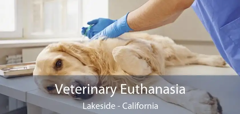 Veterinary Euthanasia Lakeside - California