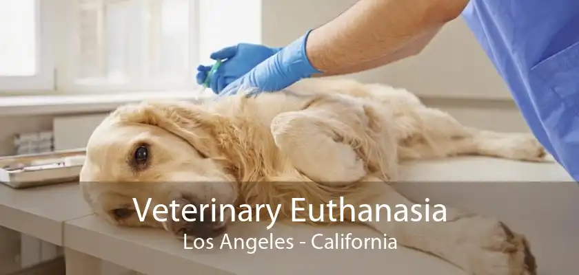 Veterinary Euthanasia Los Angeles - California