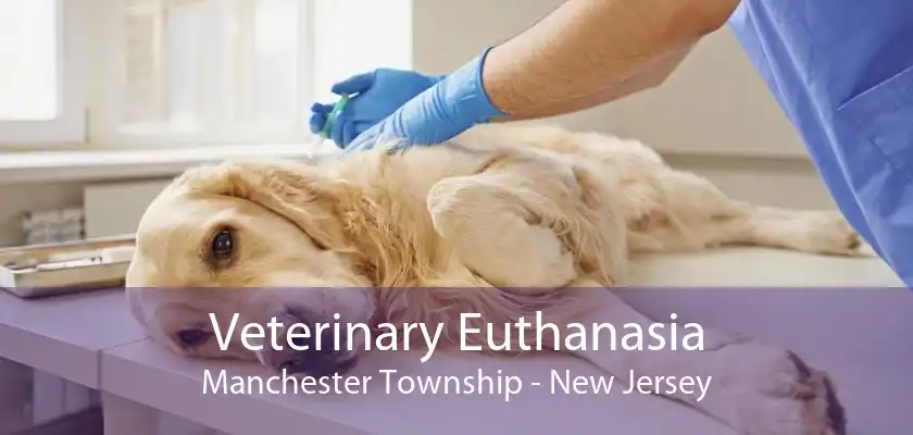 Veterinary Euthanasia Manchester Township - New Jersey