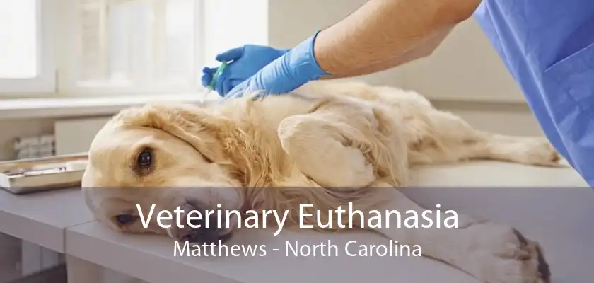 Veterinary Euthanasia Matthews - North Carolina