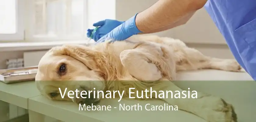 Veterinary Euthanasia Mebane - North Carolina