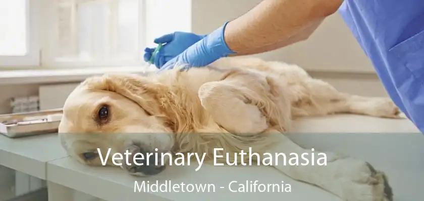 Veterinary Euthanasia Middletown - California