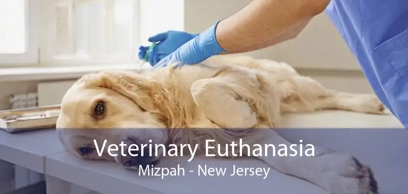 Veterinary Euthanasia Mizpah - New Jersey