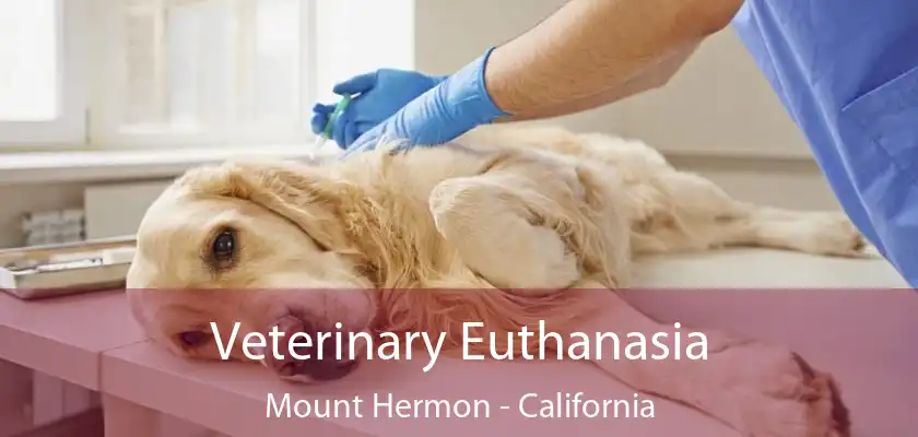 Veterinary Euthanasia Mount Hermon - California