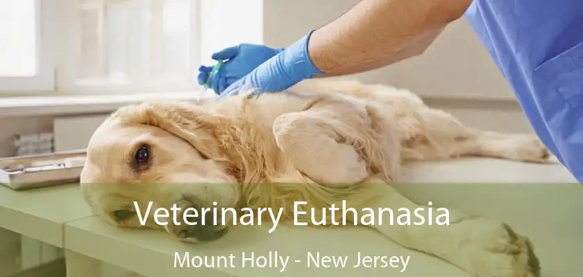 Veterinary Euthanasia Mount Holly - New Jersey