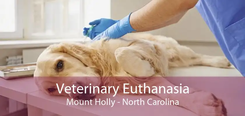 Veterinary Euthanasia Mount Holly - North Carolina