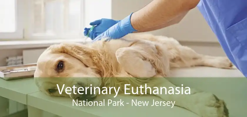 Veterinary Euthanasia National Park - New Jersey