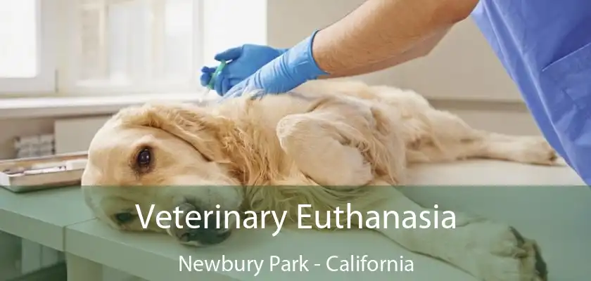 Veterinary Euthanasia Newbury Park - California
