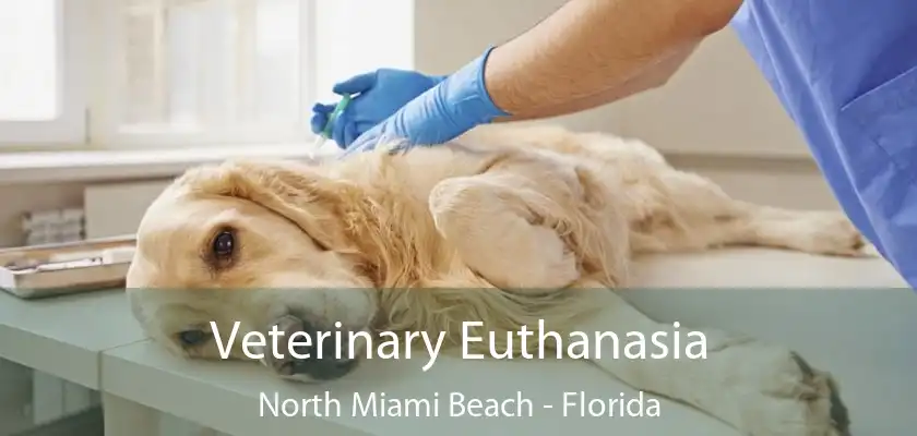 Veterinary Euthanasia North Miami Beach - Florida