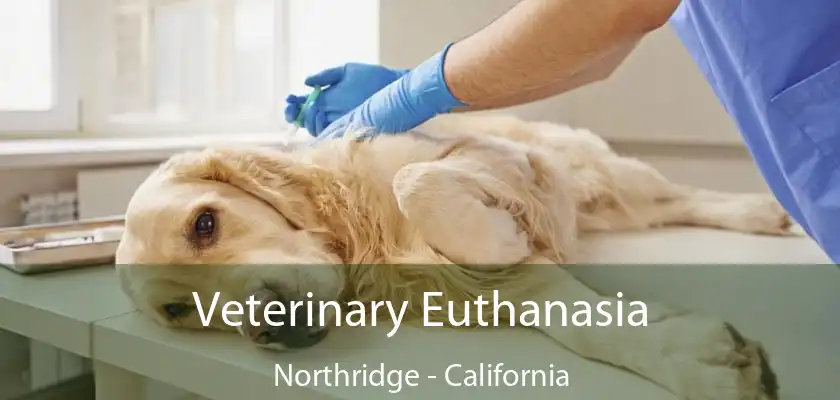 Veterinary Euthanasia Northridge - California