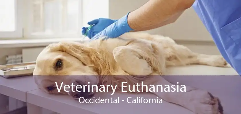 Veterinary Euthanasia Occidental - California