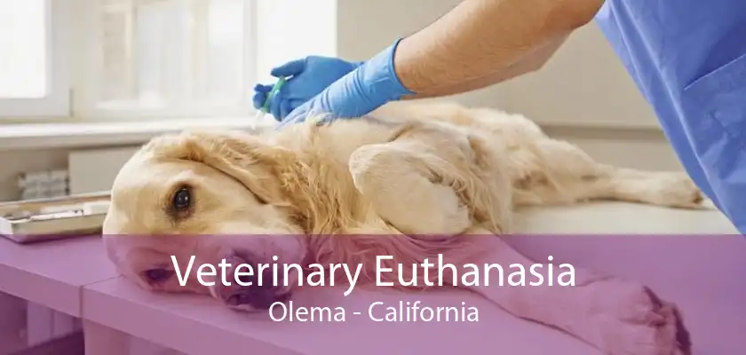 Veterinary Euthanasia Olema - California