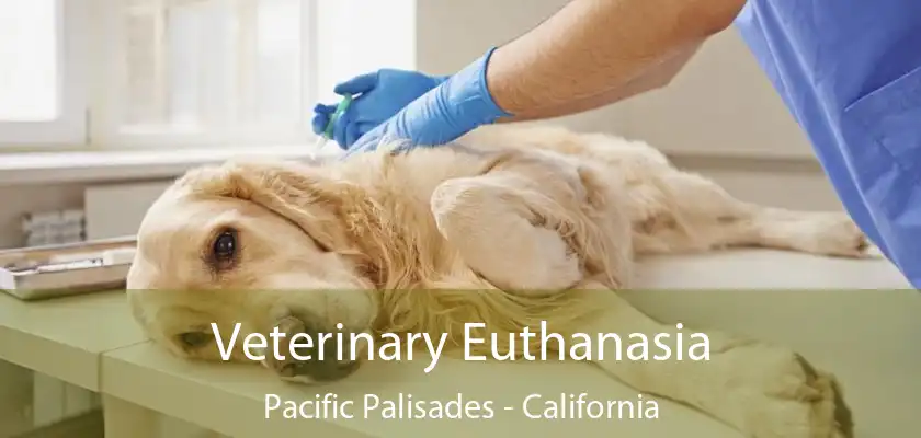 Veterinary Euthanasia Pacific Palisades - California