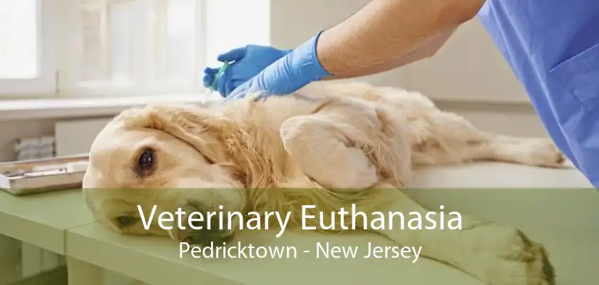 Veterinary Euthanasia Pedricktown - New Jersey