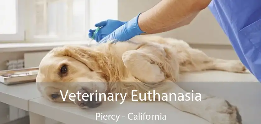 Veterinary Euthanasia Piercy - California