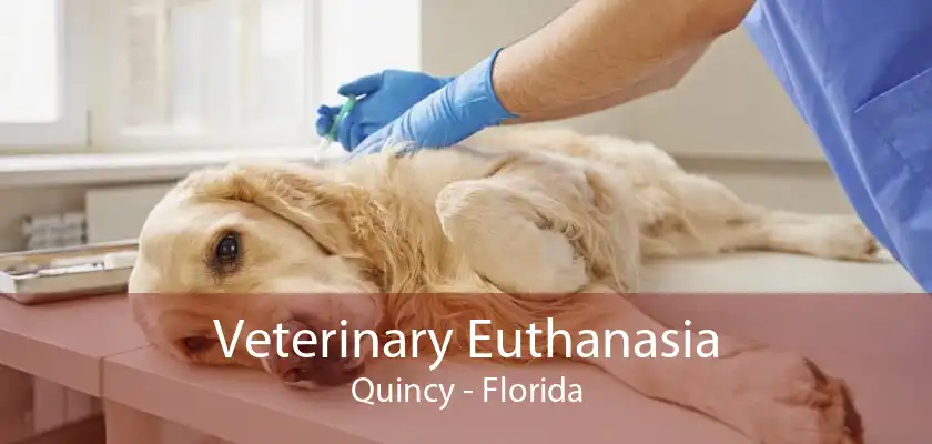 Veterinary Euthanasia Quincy - Florida