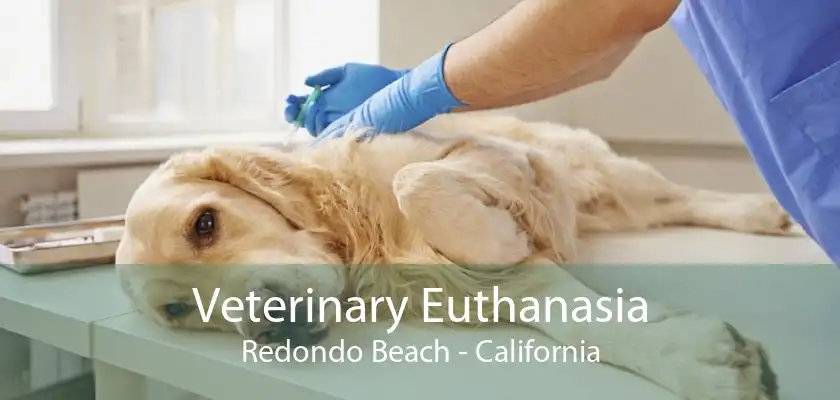 Veterinary Euthanasia Redondo Beach - California