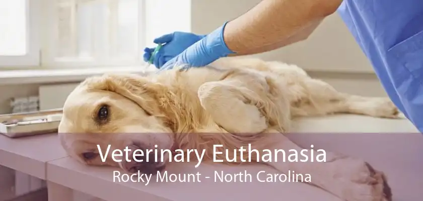 Veterinary Euthanasia Rocky Mount - North Carolina