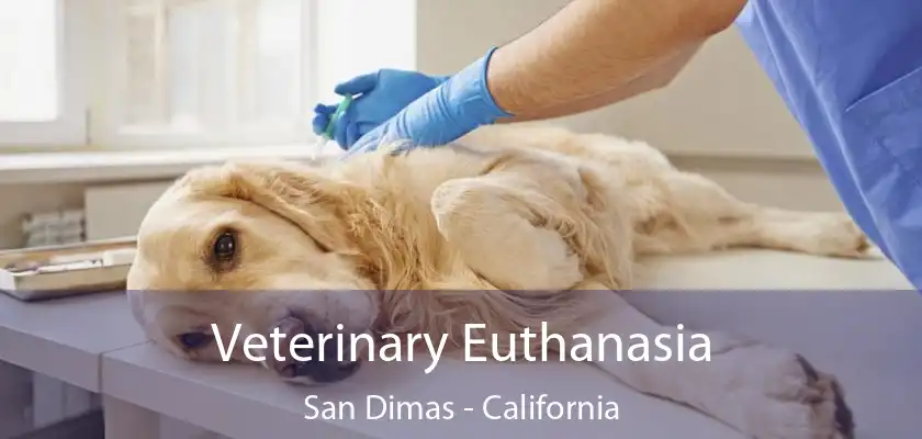 Veterinary Euthanasia San Dimas - California