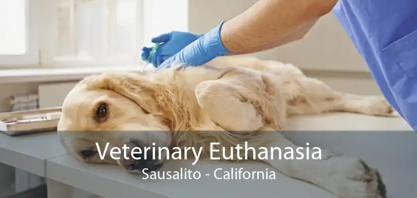 Veterinary Euthanasia Sausalito - California