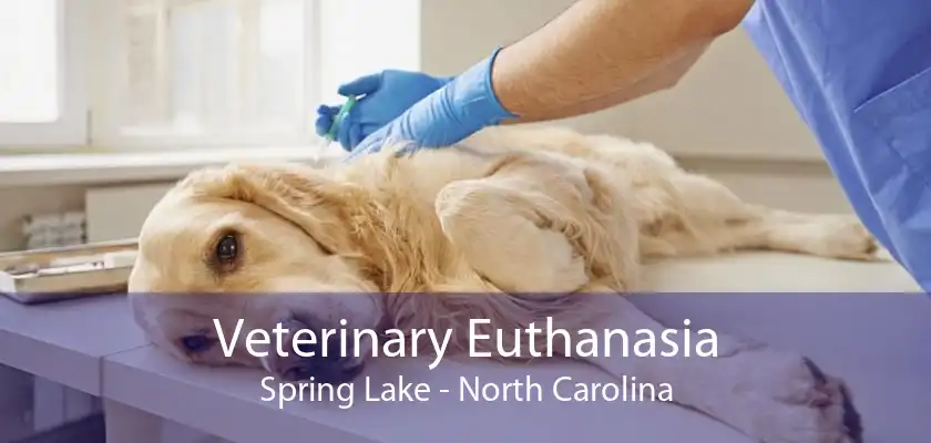 Veterinary Euthanasia Spring Lake - North Carolina