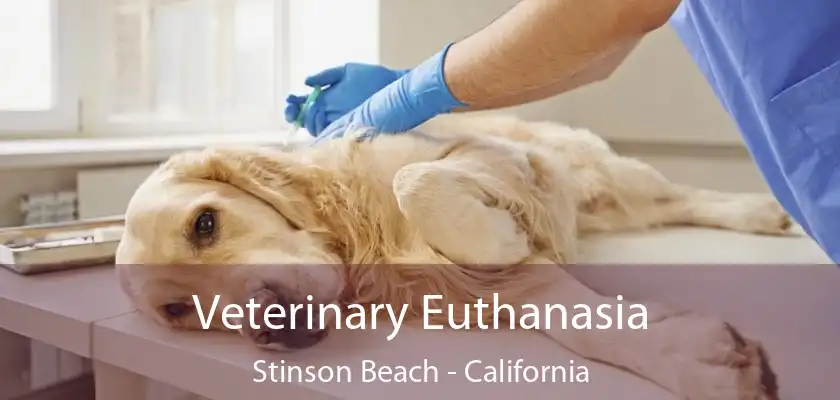 Veterinary Euthanasia Stinson Beach - California