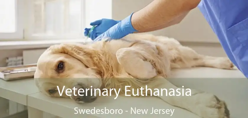 Veterinary Euthanasia Swedesboro - New Jersey