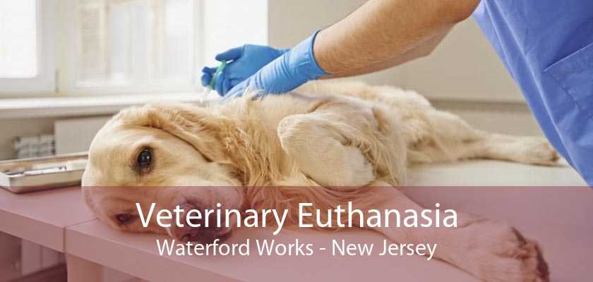 Veterinary Euthanasia Waterford Works - New Jersey